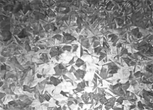 DM_20250618162700_003