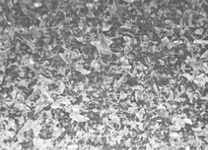 DM_20250618162700_002